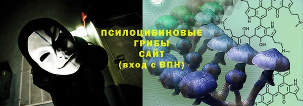 мяу мяу кристалл Алексин