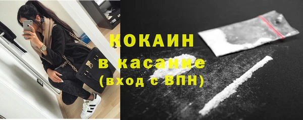 индика Алзамай