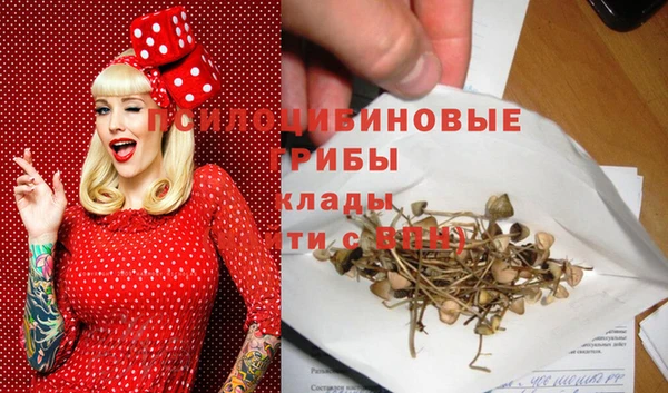 MESCALINE Аркадак