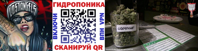 продажа наркотиков  Лодейное Поле  Бошки Шишки гибрид 